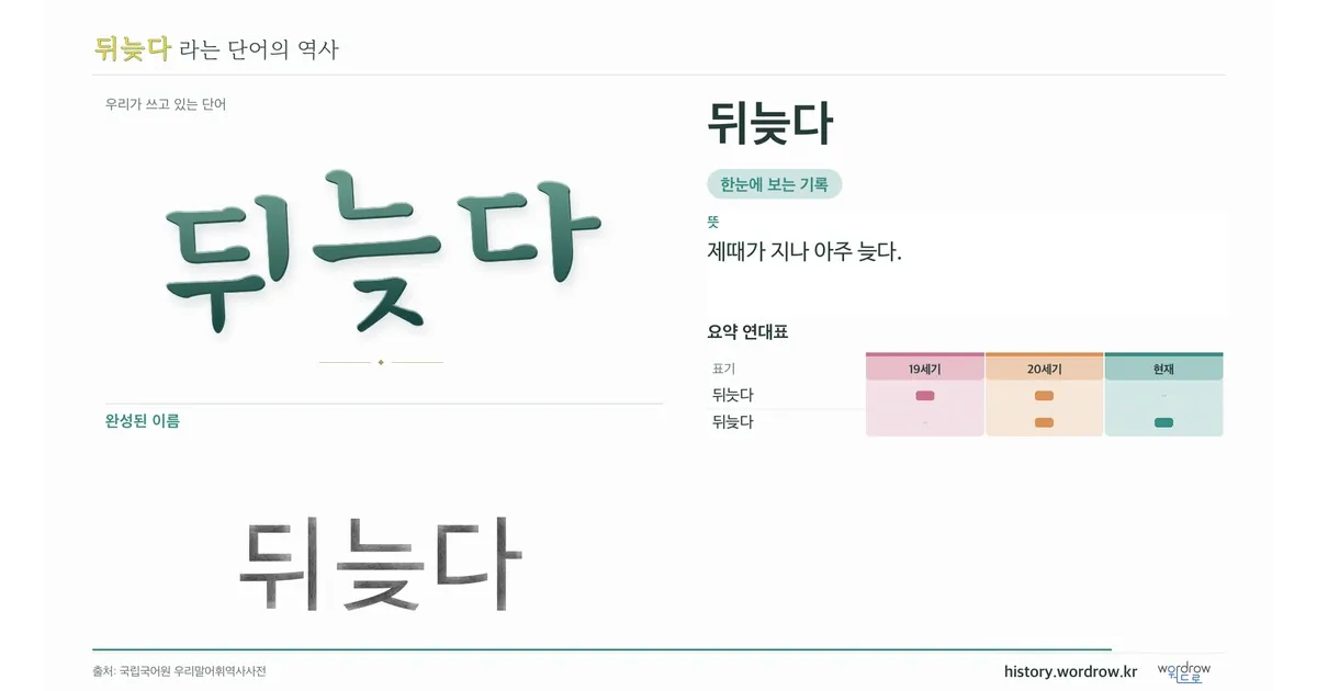 뒤늦다 대표 이미지