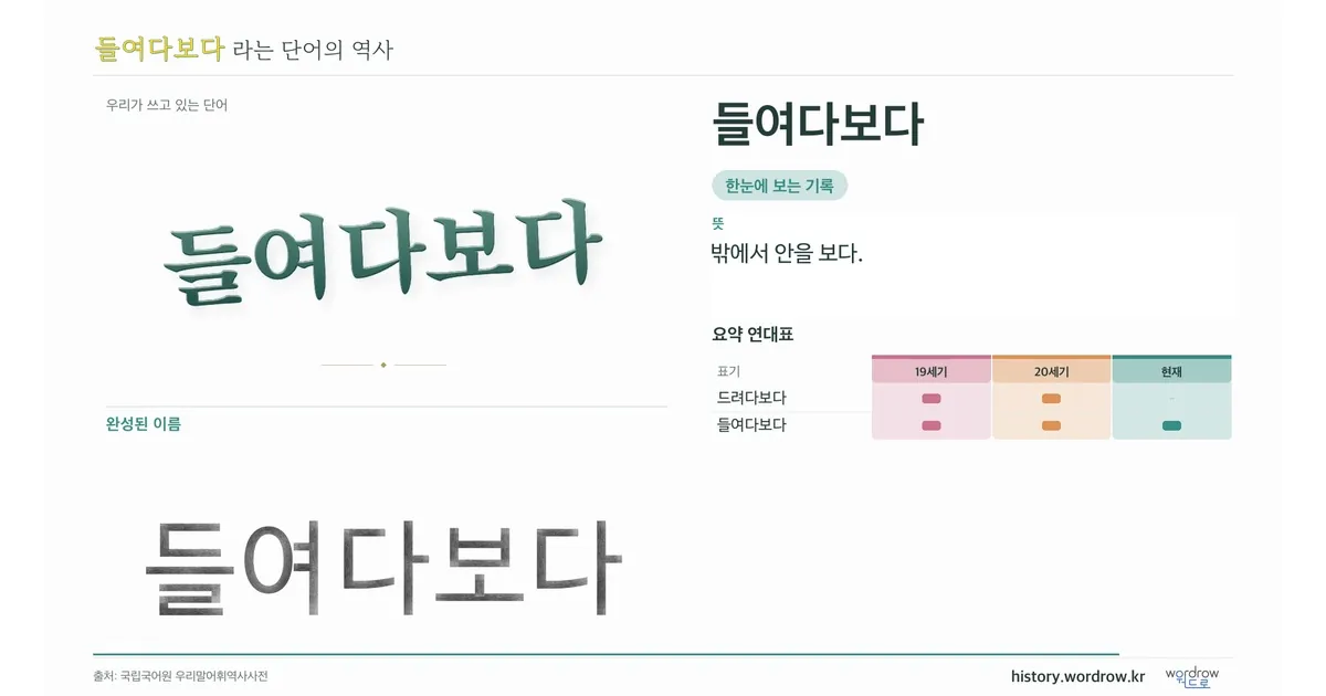 들여다보다 대표 이미지