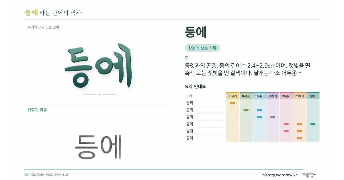 등에 대표 이미지