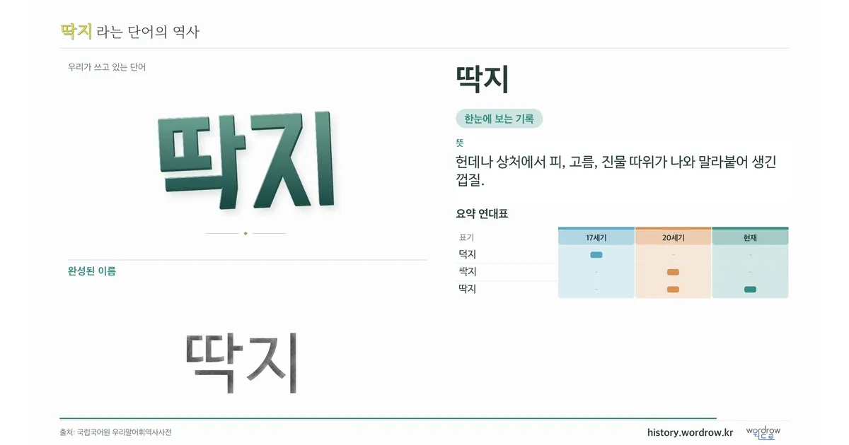 딱지 대표 이미지