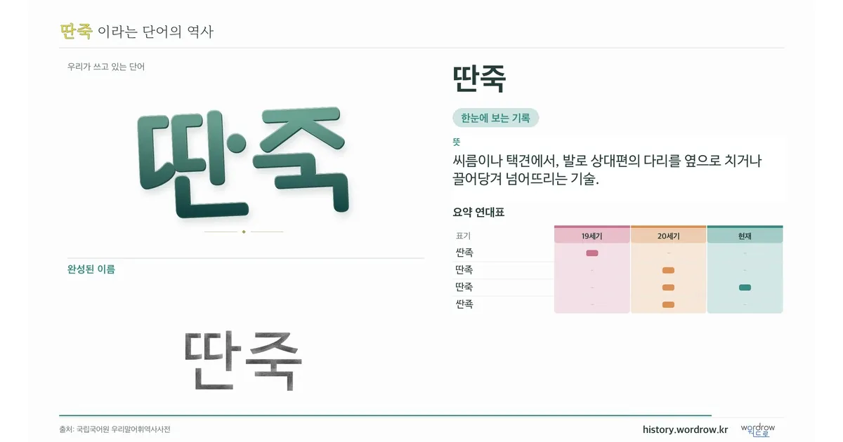 딴죽 대표 이미지