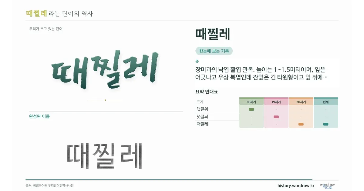 때찔레 대표 이미지