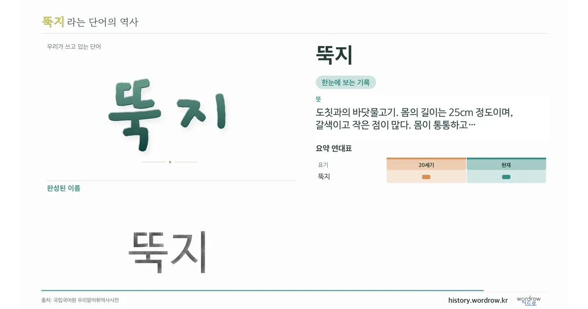 뚝지 대표 이미지