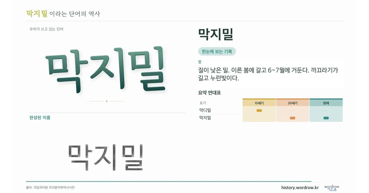 막지밀 대표 이미지