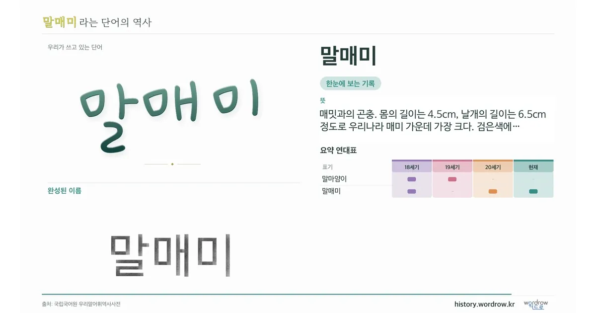 말매미 대표 이미지