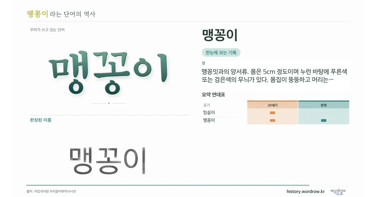 맹꽁이 대표 이미지