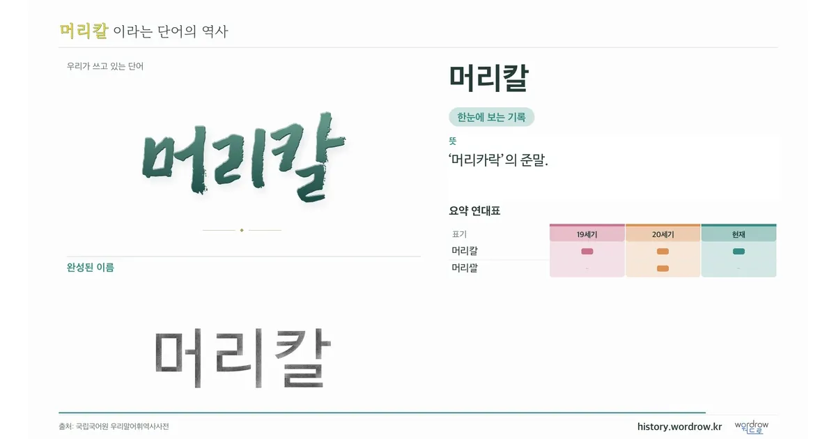 머리칼 대표 이미지