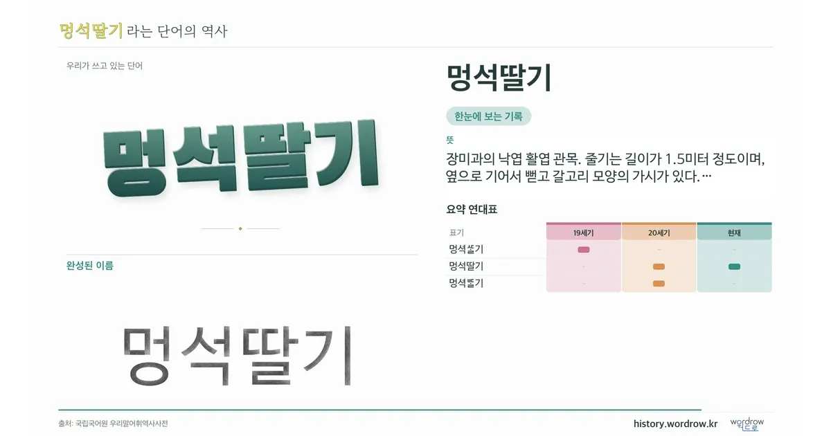멍석딸기 대표 이미지