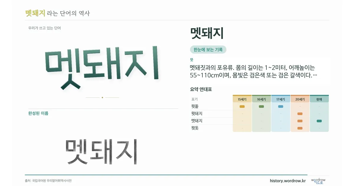 멧돼지 대표 이미지