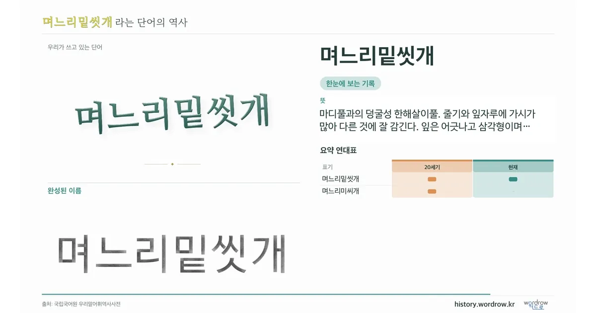며느리밑씻개 대표 이미지