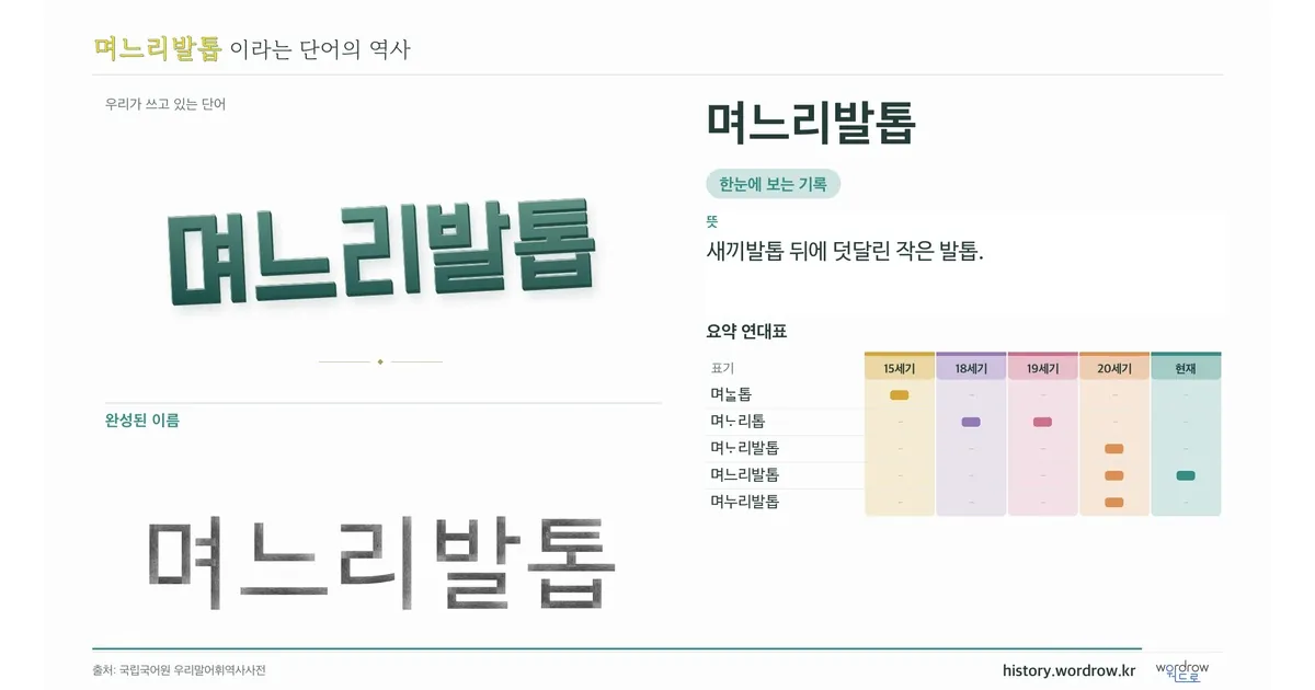 며느리발톱 대표 이미지