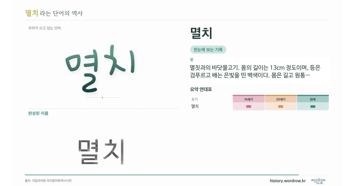 멸치 대표 이미지