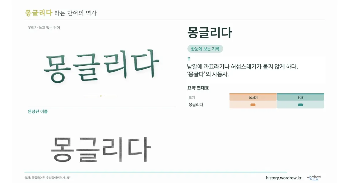 몽글리다 대표 이미지