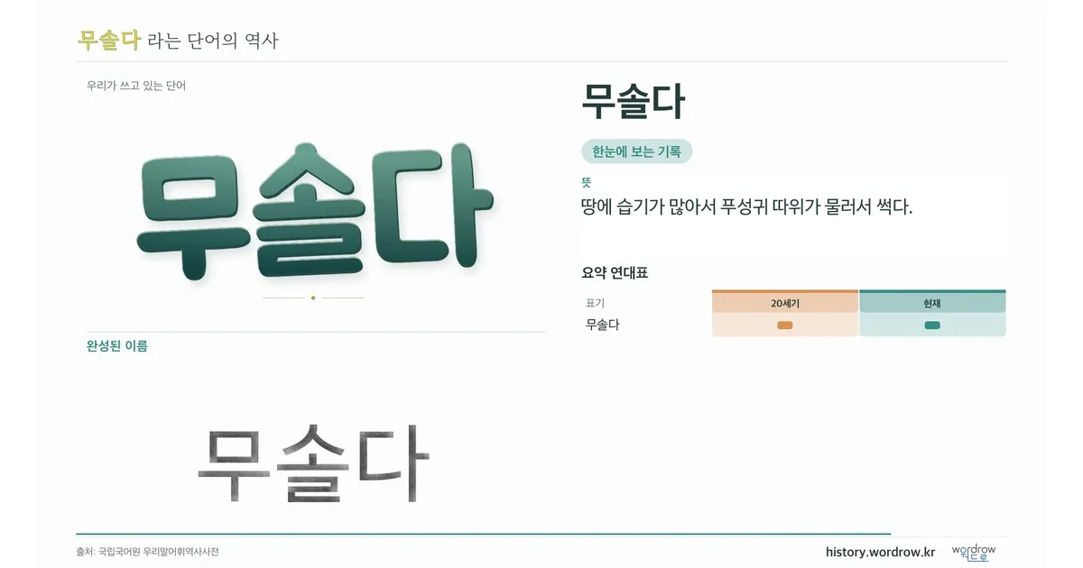 무솔다 대표 이미지