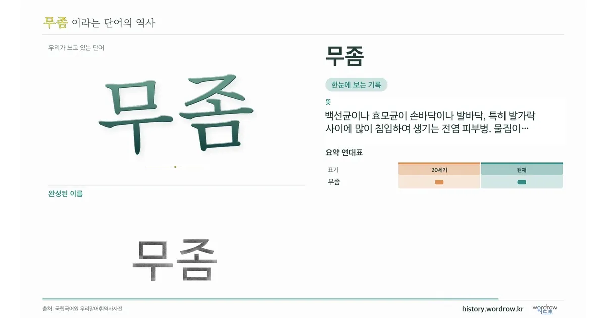무좀 대표 이미지