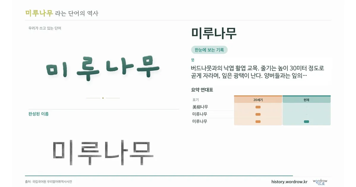 미루나무 대표 이미지
