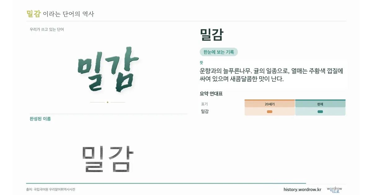 밀감 대표 이미지