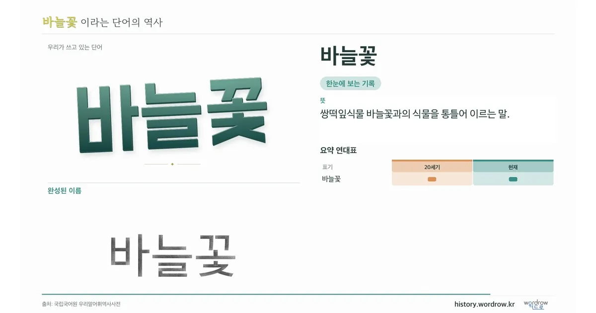 바늘꽃 대표 이미지