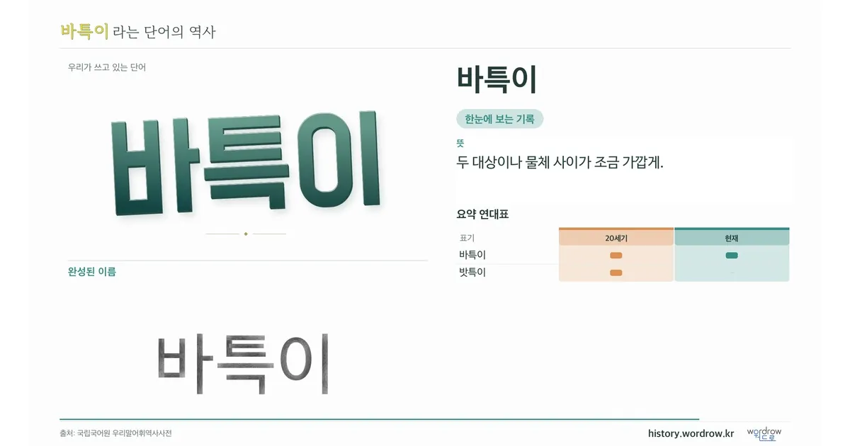 바특이 대표 이미지