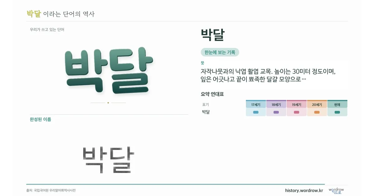 박달 대표 이미지