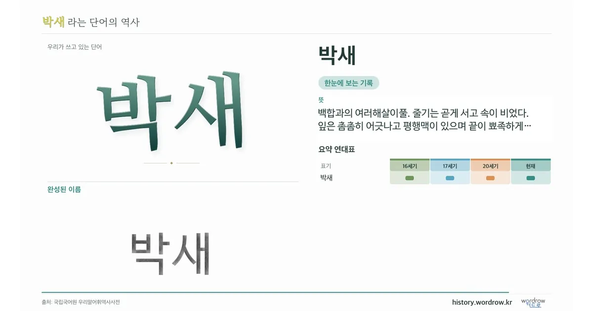 박새 대표 이미지