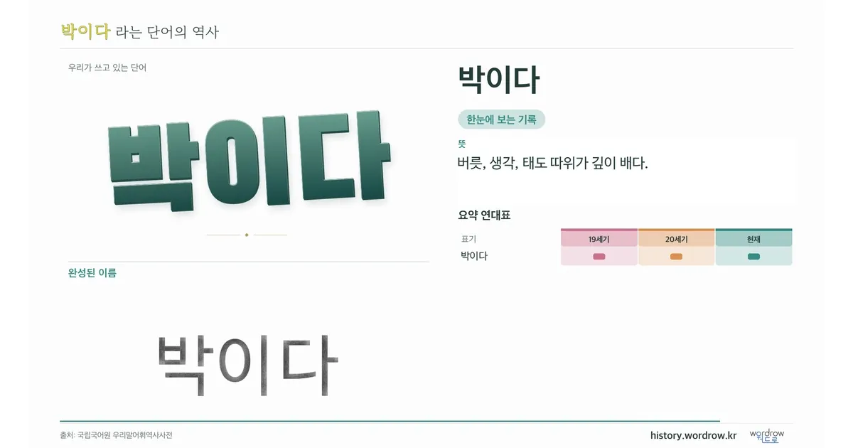 박이다 대표 이미지