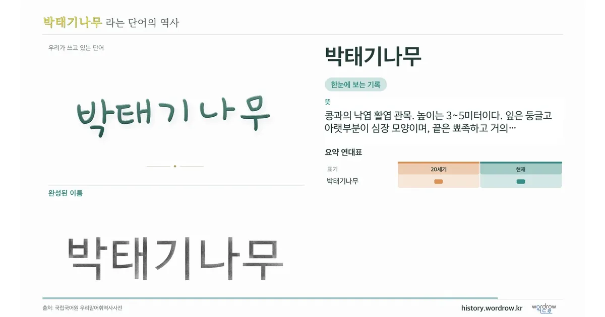 박태기나무 대표 이미지