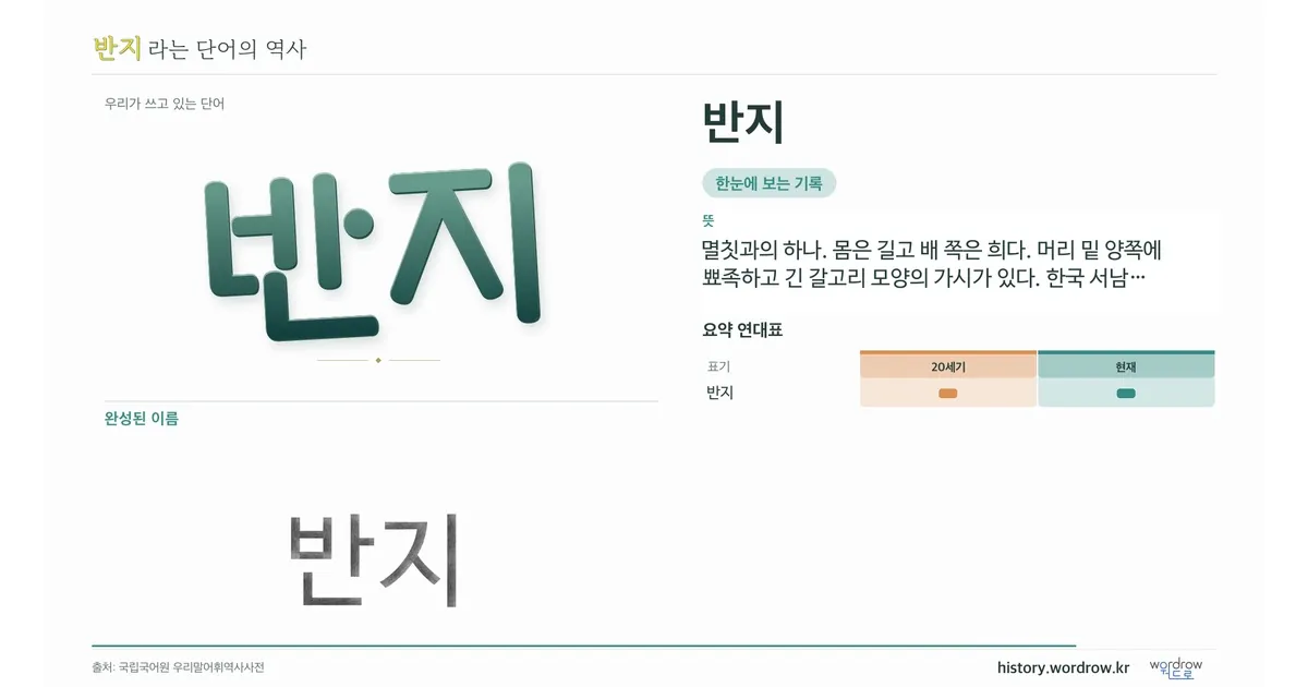 반지 대표 이미지