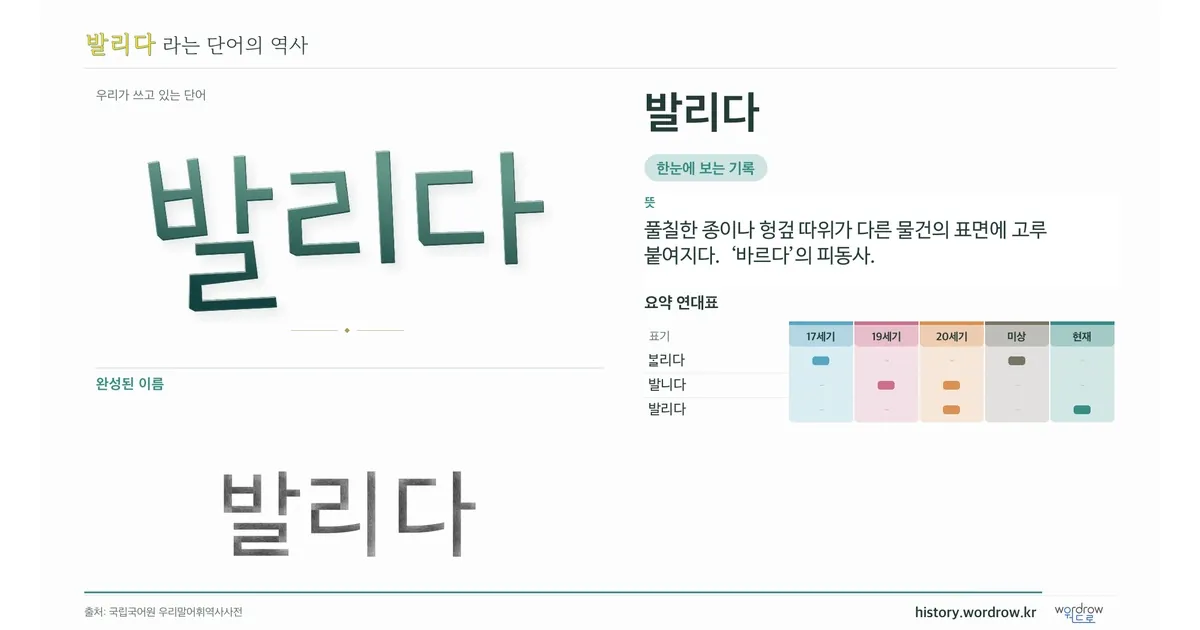 발리다 대표 이미지