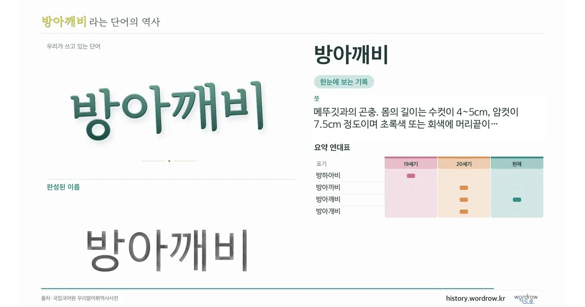 방아깨비 대표 이미지