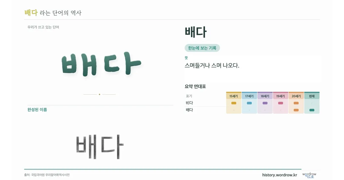 배다 대표 이미지