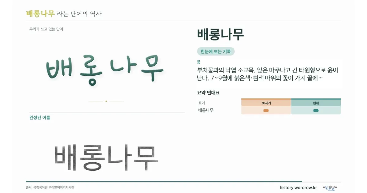 배롱나무 대표 이미지