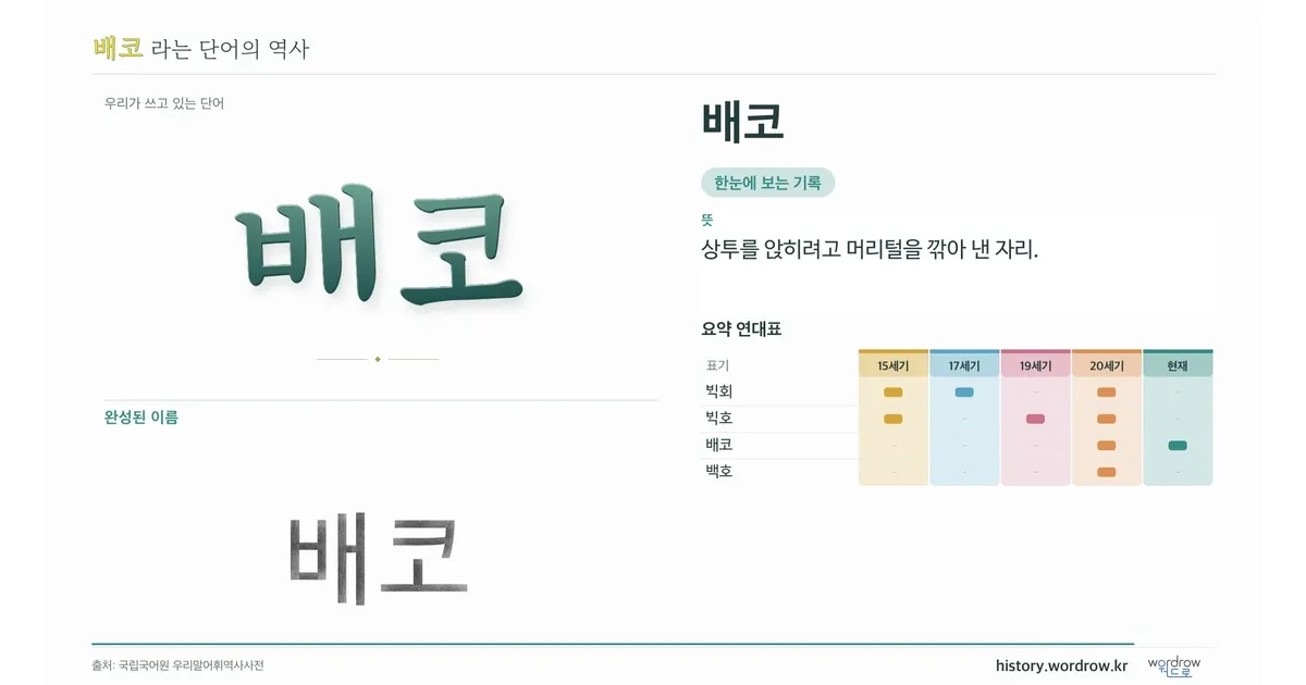 배코 대표 이미지
