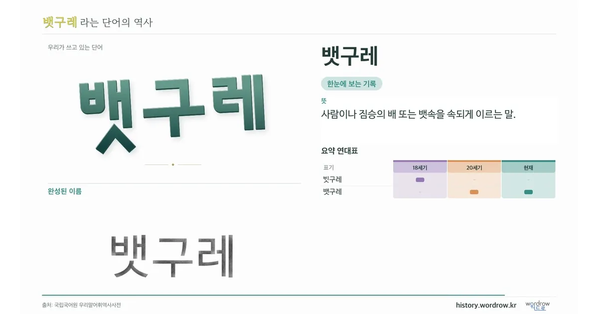 뱃구레 대표 이미지