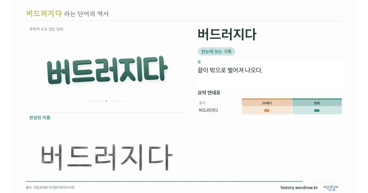 버드러지다 대표 이미지
