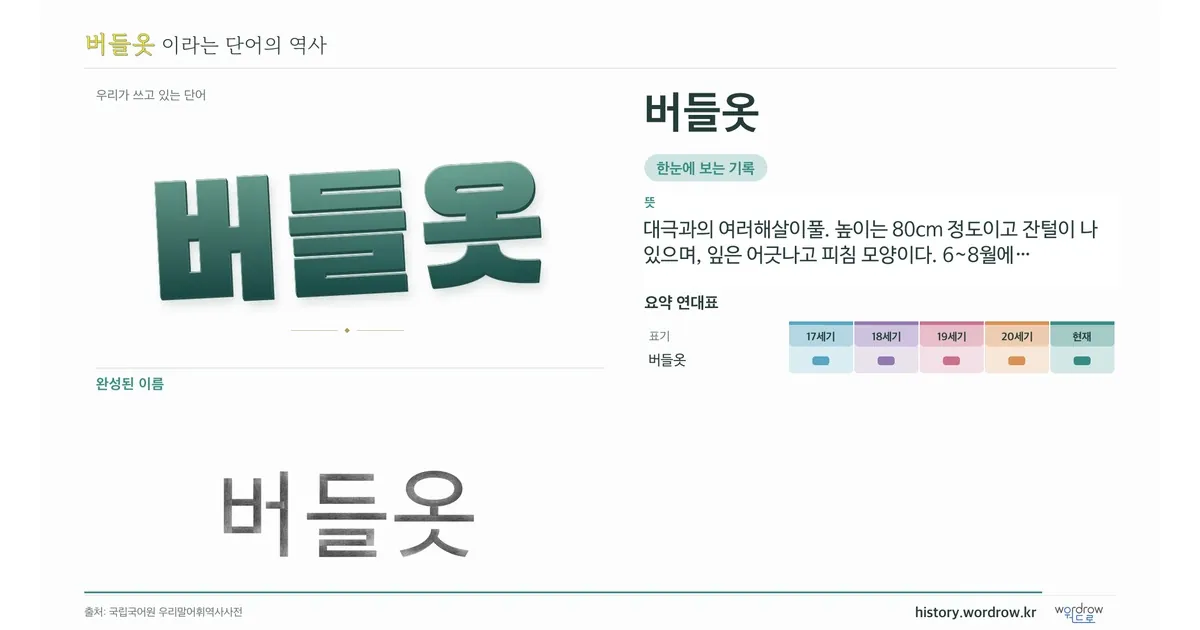 버들옷 대표 이미지