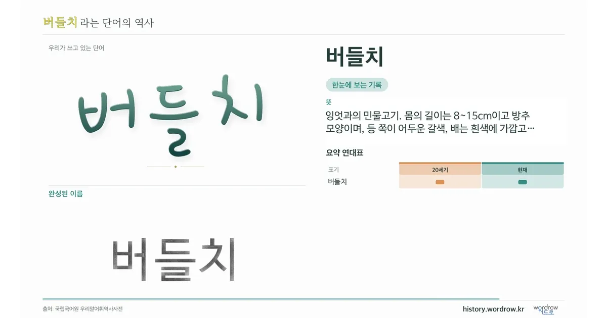 버들치 대표 이미지