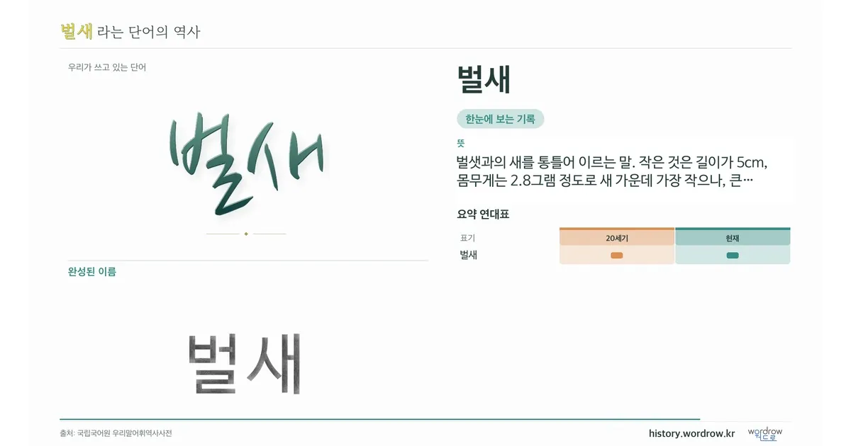 벌새 대표 이미지