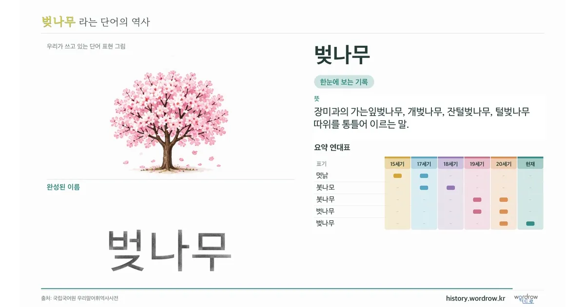 벚나무 대표 이미지