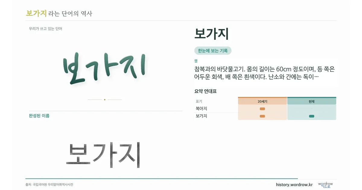 보가지 대표 이미지