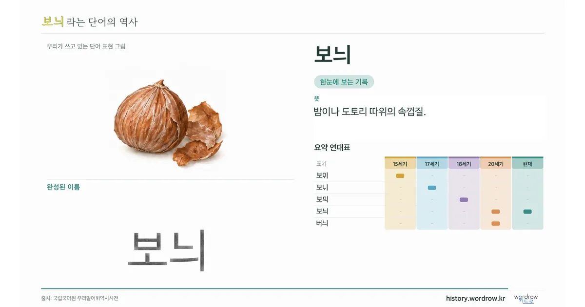 보늬 대표 이미지