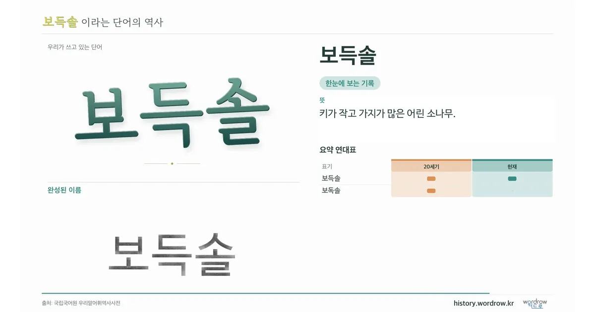 보득솔 대표 이미지