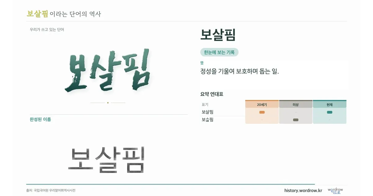 보살핌 대표 이미지