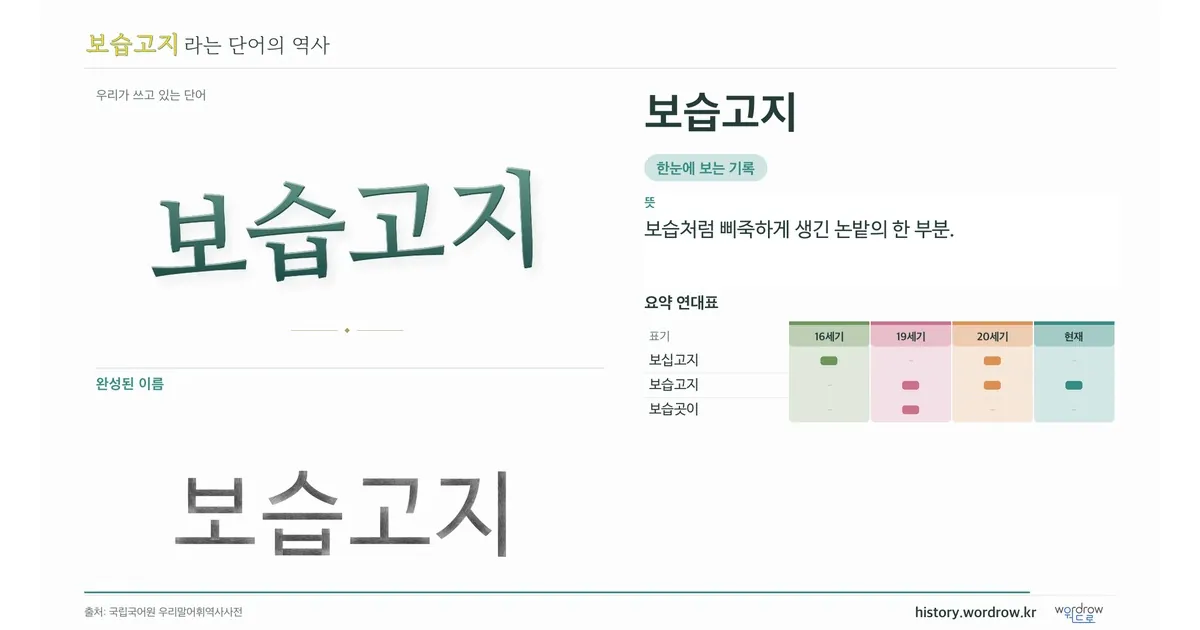 보습고지 대표 이미지