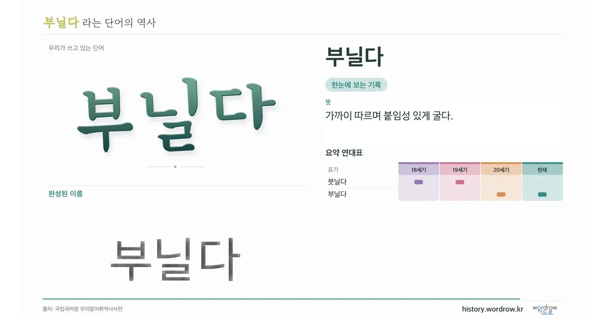부닐다 대표 이미지