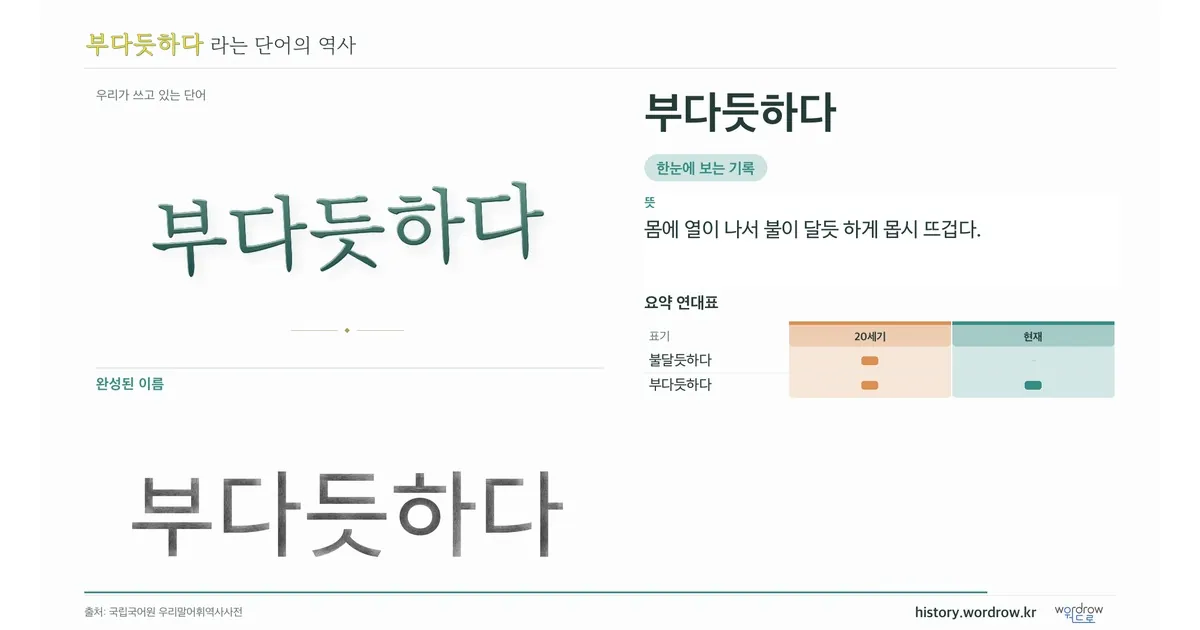 부다듯하다 대표 이미지