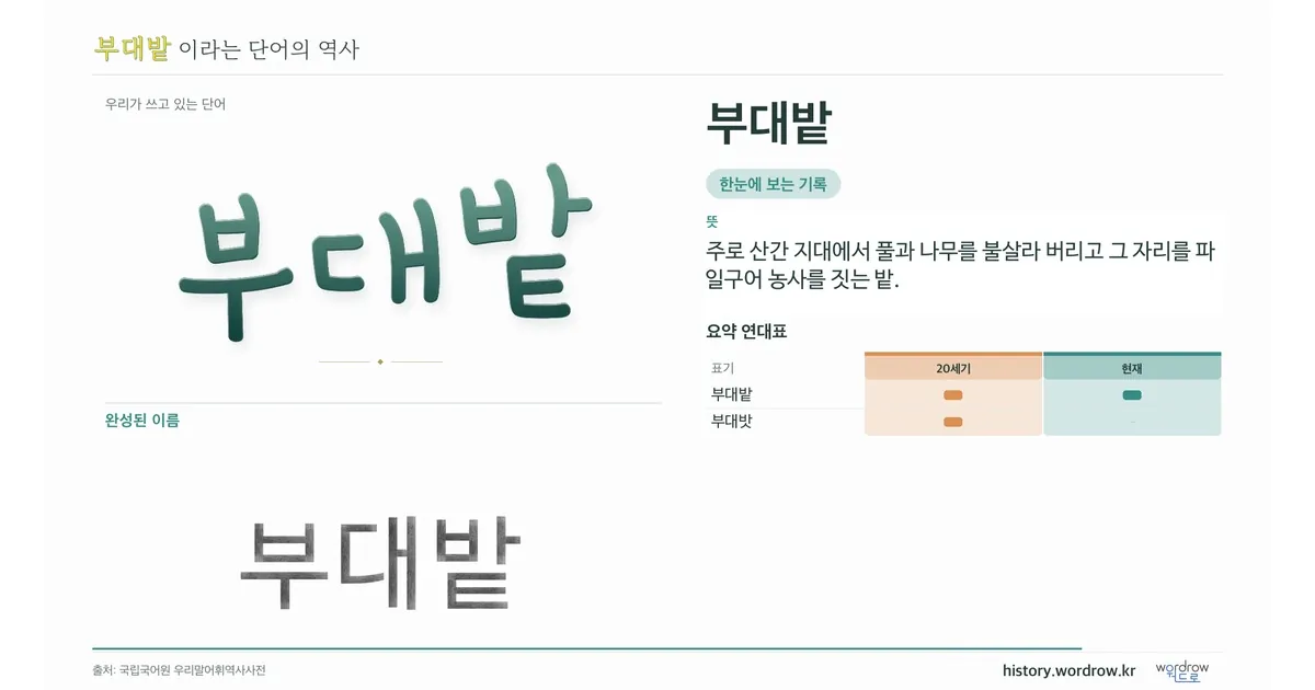 부대밭 대표 이미지