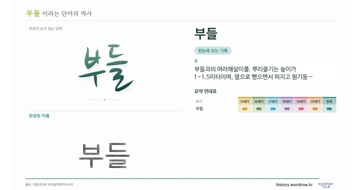 부들 대표 이미지