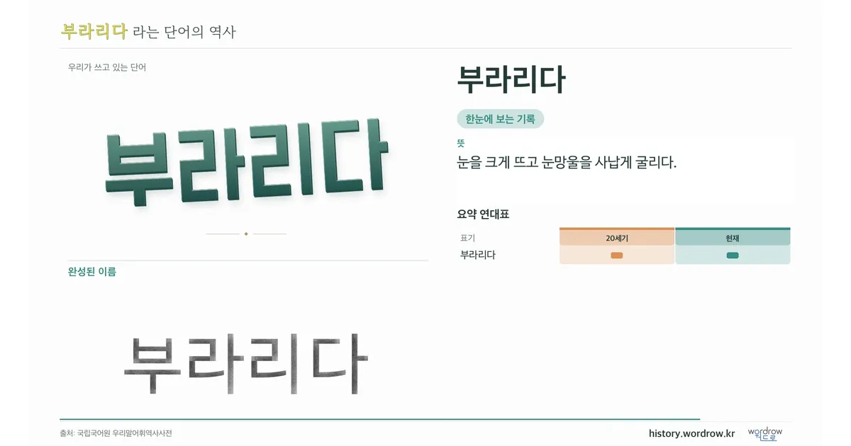 부라리다 대표 이미지