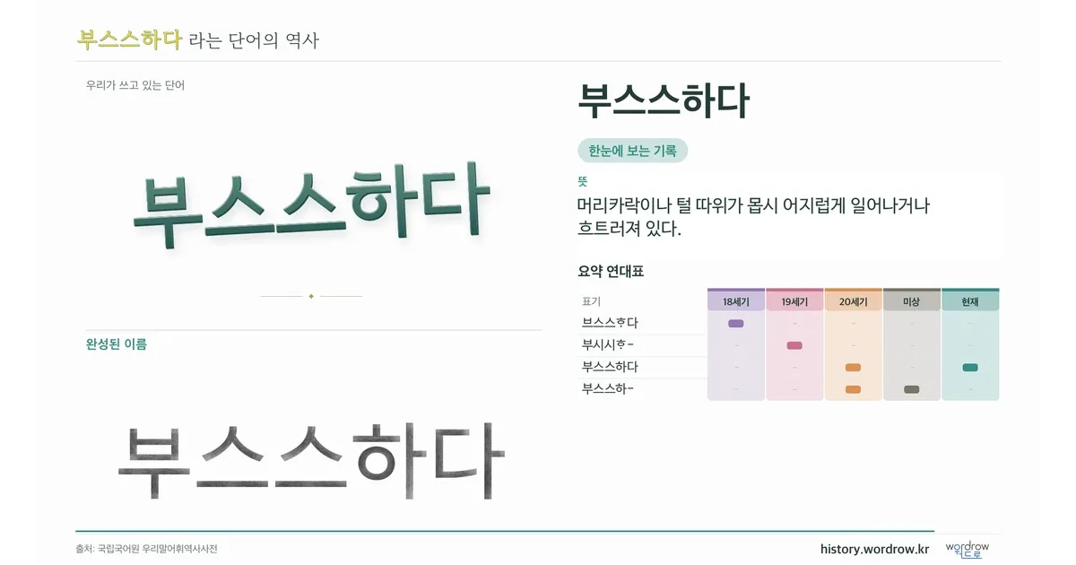부스스하다 대표 이미지